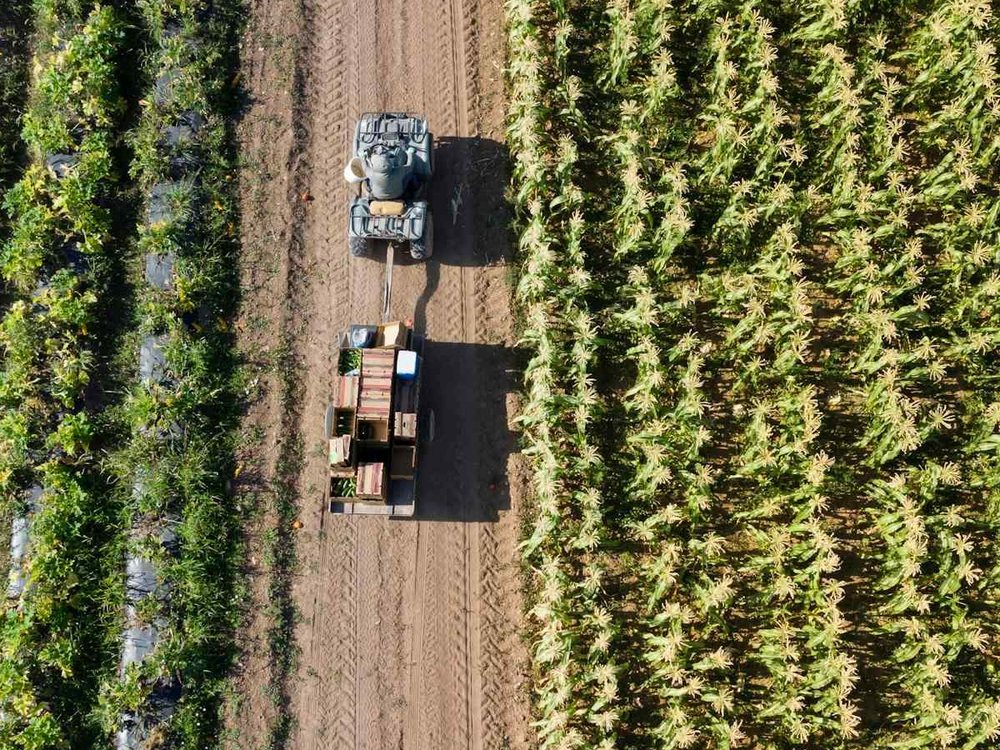Vista aérea de un vehículo que traslada jabas de cosecha entre dos campos de cultivo